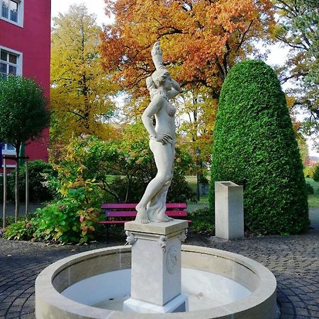Parkhotel Bad Schandau Mit Spa Екстер'єр фото